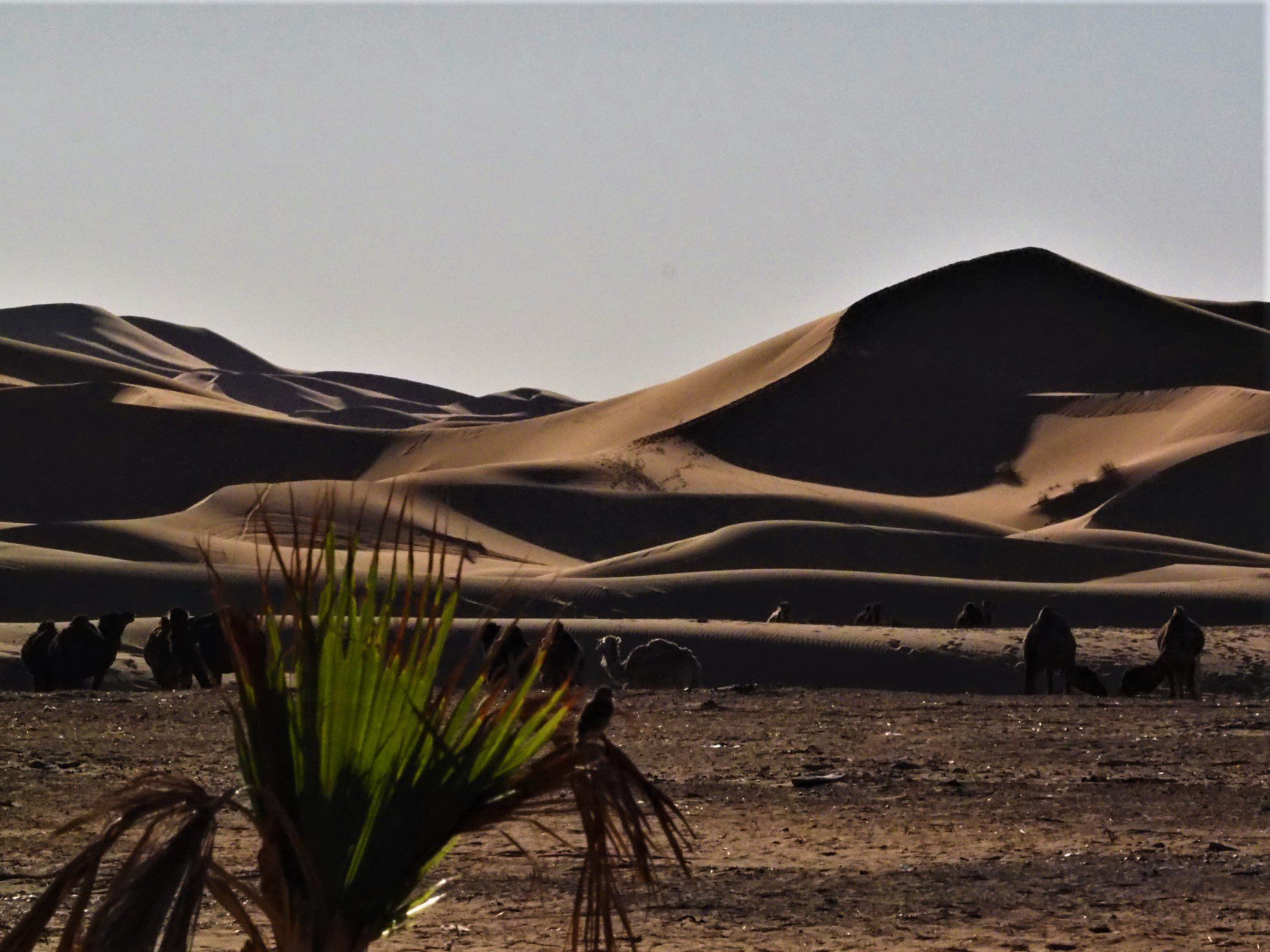Notte nel deserto a Merzouga - annavagabonda